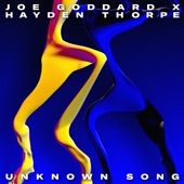 Unknown Song (Extended Version) artwork