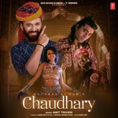 Chaudhary artwork