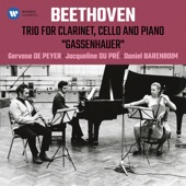 Trio for Clarinet, Cello and Piano in B-Flat Major, Op. 11 "Gassenhauer": I. Allegro con brio artwork