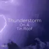 !!#01 Thunderstorm on a Tin Roof album lyrics, reviews, download