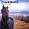 Al Fondo Hay Sitio - Blackhorse lyrics