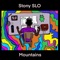 Stony Slo Mountains (feat. Simpsa) - Tony Bone lyrics