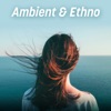 Ambient & Ethno