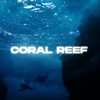 Brandon - Coral Reef