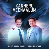 Kanneru Veenaalum artwork