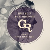 Want Me (Space Jump Salute Remix) artwork