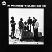 The Awakening - When Will It Ever End