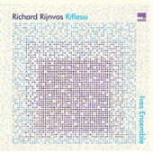 Rijnvos: Riflessi artwork