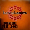 Roskilde Fest 2003 (Live)