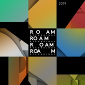 The Roam Compilation, Vol. 4 artwork