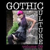 Gothic Culture, Vol. 9 - 20 Darkwave & Industrial Tracks artwork