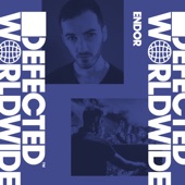 Defected Worldwide (DJ Mix) artwork