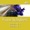 Virtuosi Di Praga & Romano Gandolfi - Sinfonie No. 5 für Kammerorchester in B Major, D. 485: II. Andante con moto