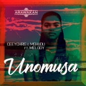 Unomusa (feat. Melody) artwork