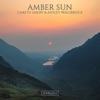 Amber Sun - Single