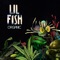Theory - Lil Fish lyrics