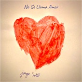 No Se Llama Amor artwork