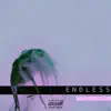 endless (feat. Lil Herc) - Single album lyrics, reviews, download
