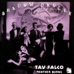 Tav Falco Panther Burns - Funnel Of Love