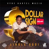 Dollar Sign (Remix) artwork