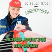 Ik Heb Jou Zus Nie Gevat (feat. Zanger Hans) artwork