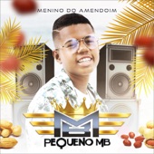 Menino do amendoim artwork