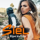 Ripni Kalinke (Extended Mix) artwork