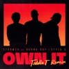 Own It (feat. Burna Boy & Stylo G) [Toddla T Remix] - Single, 2020