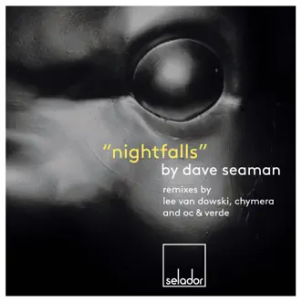 Nightfalls (Remixes) by Dave Seaman album reviews, ratings, credits