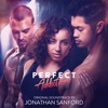 Perfect Addiction (Original Motion Picture Soundtrack) artwork