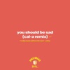 You Should Be Sad - Single