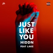 Just Like You (feat. Lake) artwork