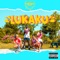 Lukaku - Frères Chappe lyrics