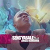 Seng'yabala Nkosi - Single