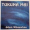 He Tirohanga (Puoro) - Adam Whauwhau lyrics