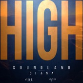 High (feat. Diana) artwork