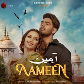 Aameen artwork