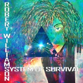 System of Survival (Moto Blanco Extended Mix) artwork