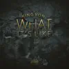 Stream & download What It's Like - Single