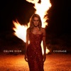 Céline Dion - The Hard Way