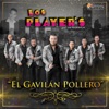 El Gavilán Pollero - Single