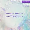 Perfect, Perfect [vocal version] [feat. The Mynabirds] - Single album lyrics, reviews, download