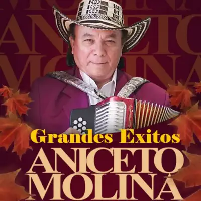 Grandes Éxitos - Aniceto Molina