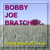 The Yellow Rose of Texas artwork