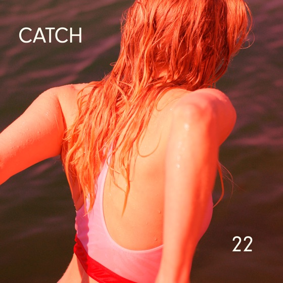 Cover artwork for Catch 22