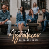 Agradecer (Playback) [Acústico] artwork