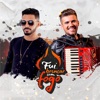 Fui Brincar Com Fogo (feat. Luan Estilizado) - Single