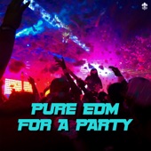 Pure EDM for a Party artwork