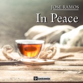 In Peace (One Mix) artwork