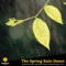 Abloom Spring Rain - Everyday Rain Stories lyrics